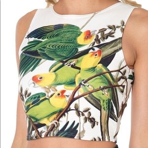 BlackMilk Sweet Carolina Wifey Top